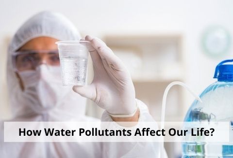 What are Water Pollutants and How They Affect Our Life?