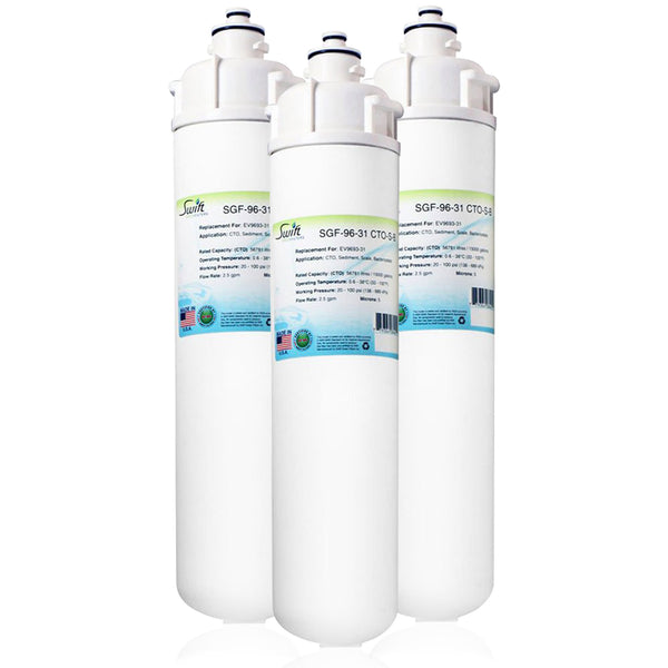 SGF-96-31 CTO-S-B Compatible Food Service Filter for Everpure EV9693-31