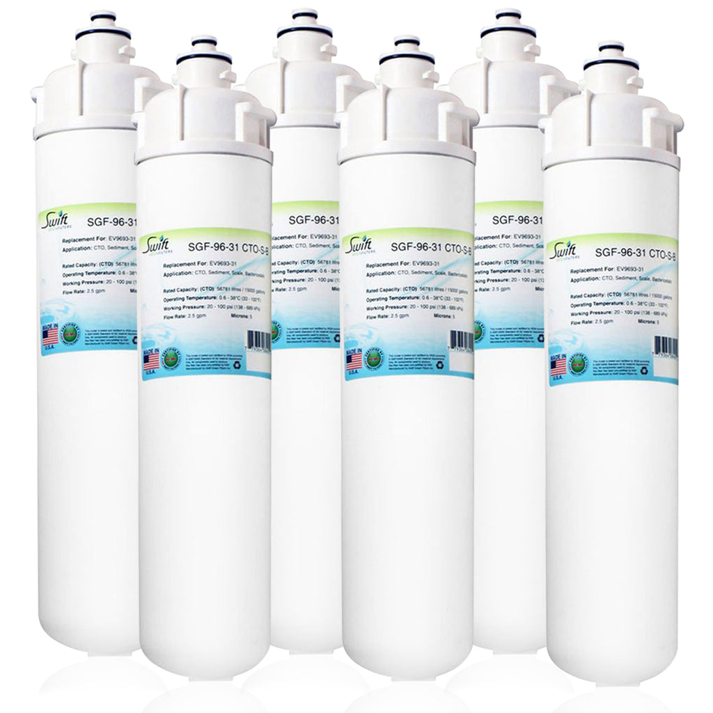 SGF-96-31 CTO-S-B Compatible Food Service Filter for Everpure EV9693-31