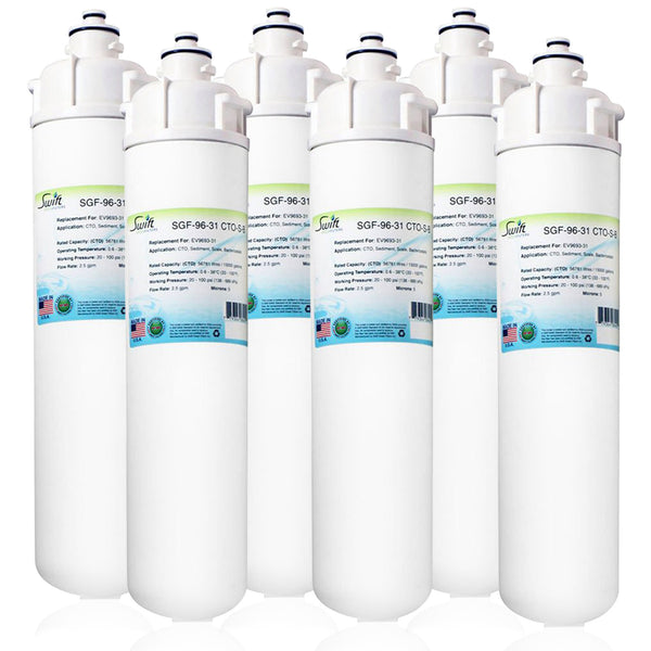 SGF-96-31 CTO-S-B Compatible Food Service Filter for Everpure EV9693-31