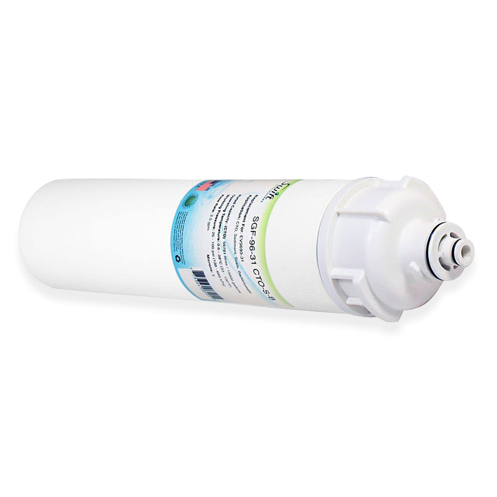 SGF-96-31 CTO-S-B Compatible Food Service Filter for Everpure EV9693-31