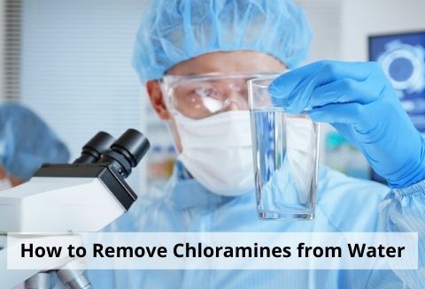How to Remove Chloramines from Water