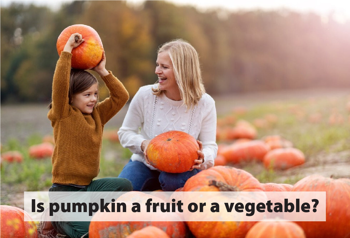 Is pumpkin a fruit or a vegetable?