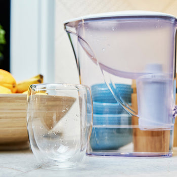 Pitcher Filters