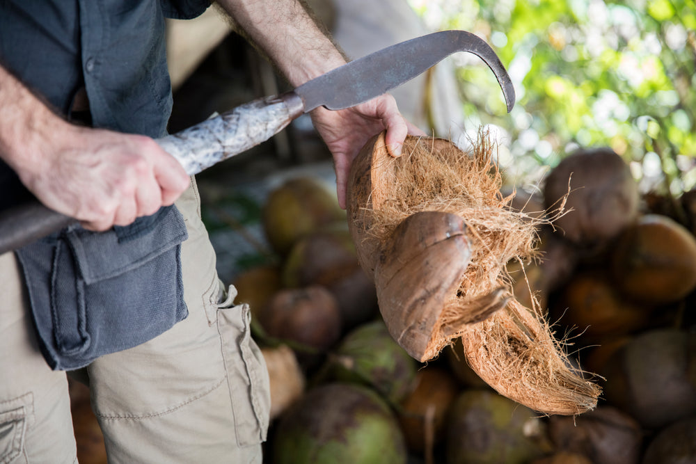 Zero-Waste Commitment in Coconut Industry Production