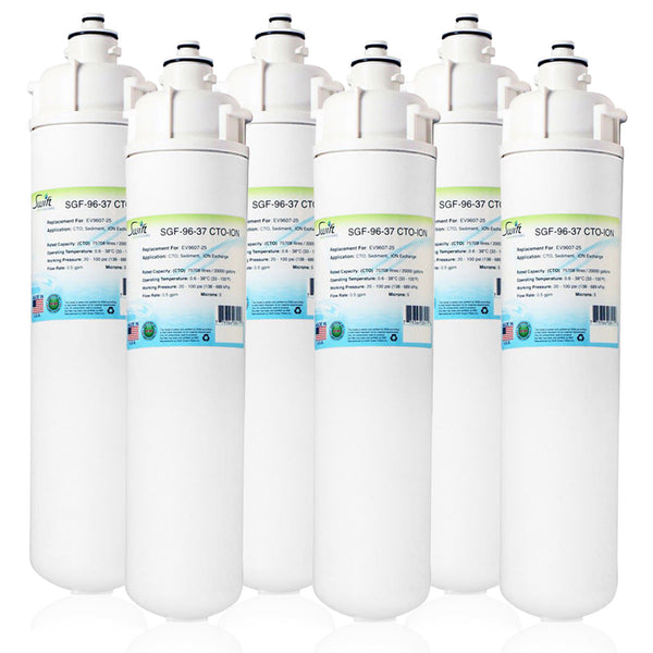 SGF-96-37 CTO-ION Compatible Food Service Filter for Everpure EV9607-25