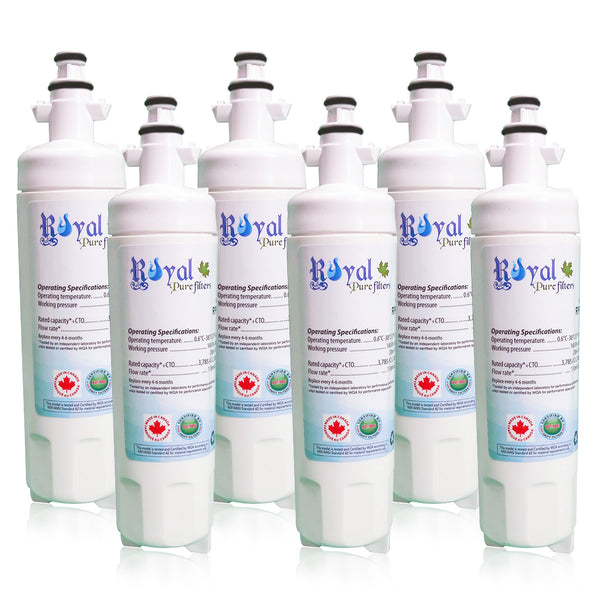 Royal Pure Filter RPF-LT700P CTO Removal Refrigerator Water Filter