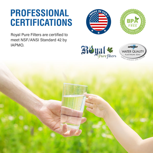 Royal Pure Filter RPF-DA29-00003B CTO Removal Refrigerator Water Filter