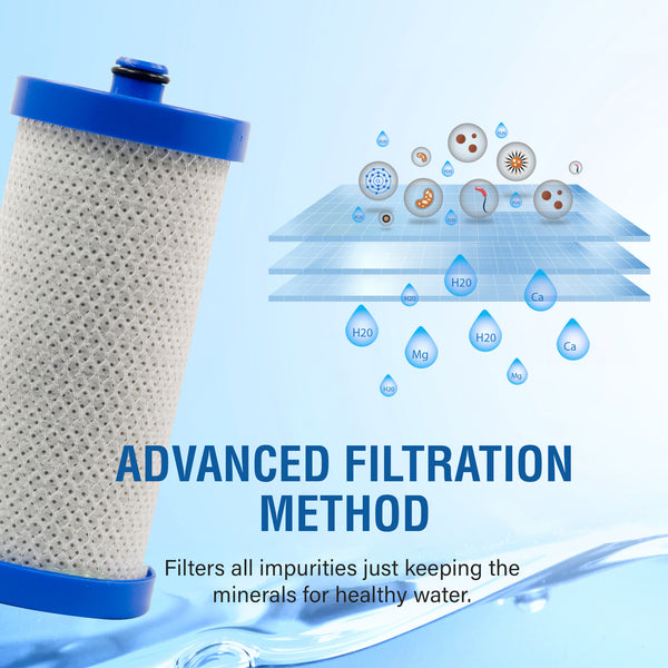 Swift Green Filter SGF-WF1CB VOC Removal Refrigerator Water Filter