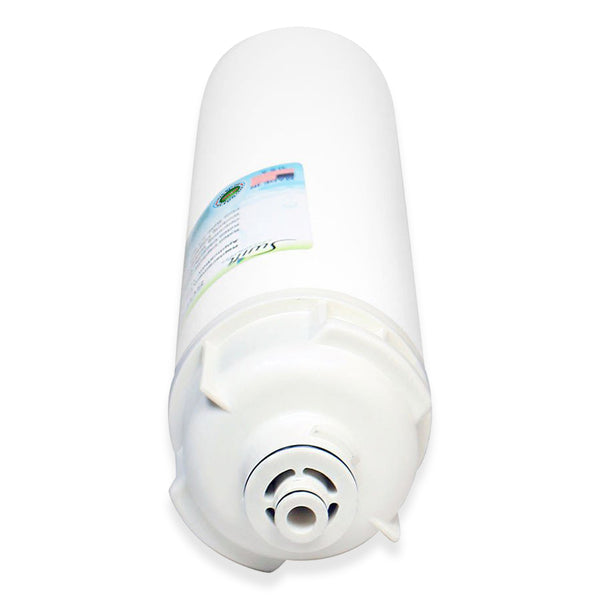 SGF-96-43 CTO Compatible Food Service Filter for Everpure EV9607-56